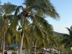 -日落吧·海景咖啡厅·餐酒吧·鸡尾酒·下午茶·乐队表演·浪漫夕阳·三亚文华东方酒店