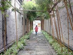 -龙潭水乡