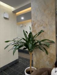 -上海首尔丽格医疗美容医院