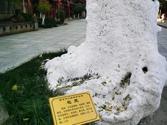 -关中书院