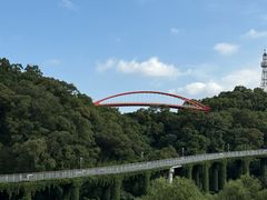 -金鸡山公园
