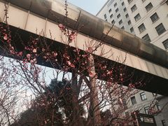 住院部-上海市第十人民医院(总院)