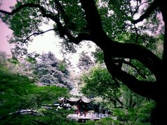 -申粤轩酒楼·三十年粤菜经典(丁香花园店)