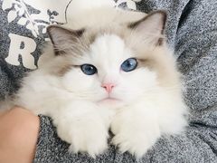 -苏州科技大学（石湖校区）二食堂