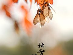 -香山公园