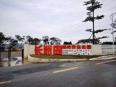 -长洲岛