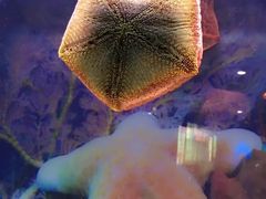-乌鲁木齐海洋馆