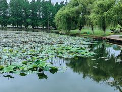 -天目湖山水园