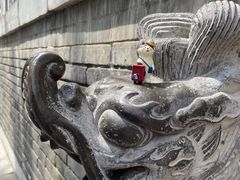 -法门文化景区