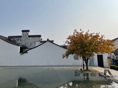 -青果巷历史文化街区