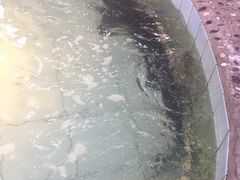-胖姐渔村(中源大道店)