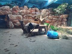 -石家庄市动物园