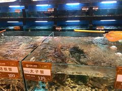 -国惠大酒楼(宝龙店)
