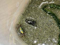 -南汇新城海滩