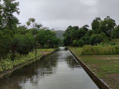 -中山市树木园