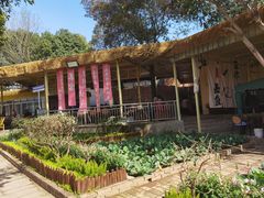 -苏记溪河鲢鱼庄(天府新区店)