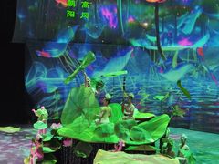 -武汉杂技厅
