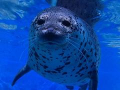 -多彩贵州城极地海洋世界