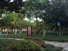 -神仙树公园
