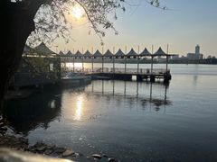 -长春市南湖公园