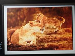 -罗红摄影艺术馆