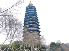 -红梅公园