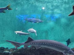 -太平洋海底世界