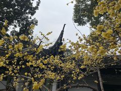 -惠山古镇·寄畅园