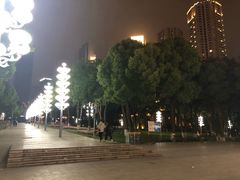 -重庆市江北嘴中央商务区中央公园