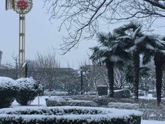 -西安城墙·碑林历史文化景区