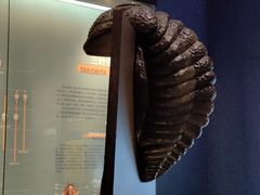 -湖南省地质博物馆