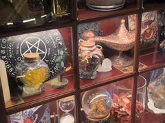 -雪灵魔法世界SHELLY’S TAROT(大良桂畔里店)