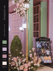 -DC大蔡婚礼策划(李公堤店)