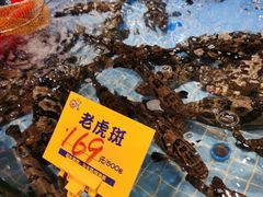 -79号渔船海鲜饭店(宝安店)