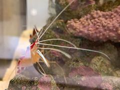 -平行世界·猫咖(首经贸店)