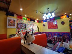 -如意林卡藏餐吧 (九寨沟店)