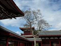 -南少林寺