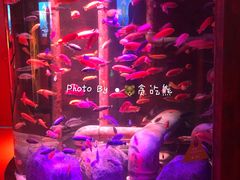 -沈阳海洋探索中心