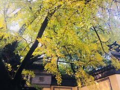 -无锡惠山寺