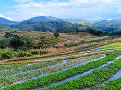 -牙胡梯田景区