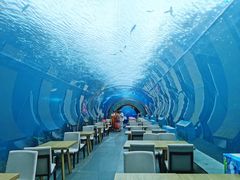 -海棠湾洲际-涛·海底餐厅·美人鱼·自助餐·海底隧道