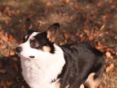 -济南国际园博园