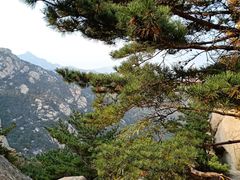 -崂山仰口游览区