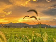 -楠溪江风景名胜区