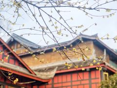 -峨眉山报国寺
