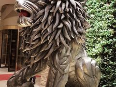 -DFS迪斐世(澳门新濠天地店)