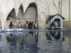 -太平洋海底世界