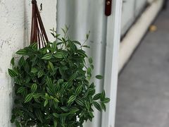 -绿小院(荔湾店)