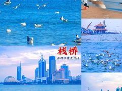 -八大关景区