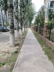 -润复丝·泽发防脱头皮管理